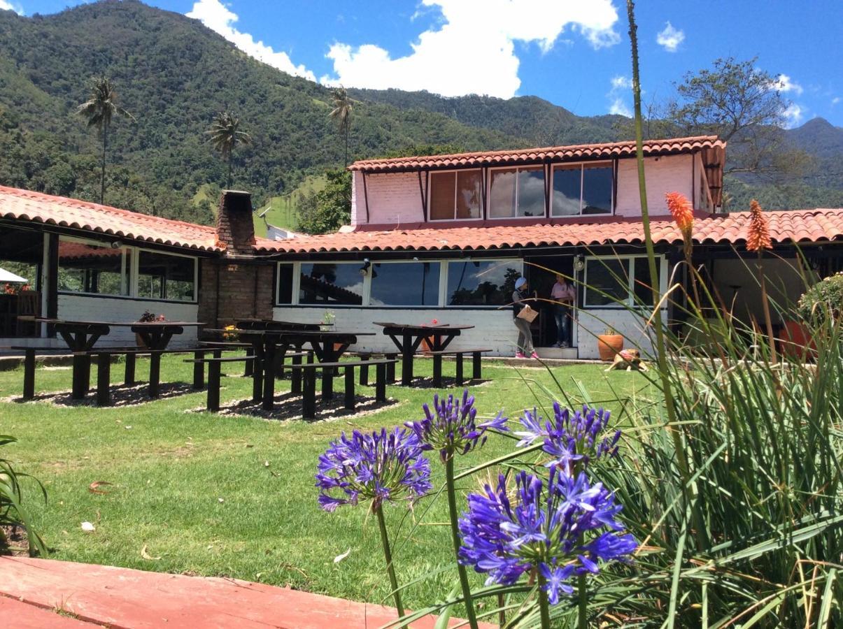 Palmas De Cocora Guest House Саленто Екстериор снимка