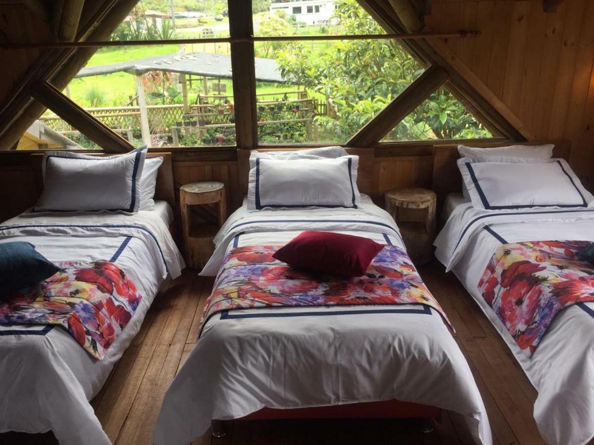 Palmas De Cocora Guest House Саленто Екстериор снимка