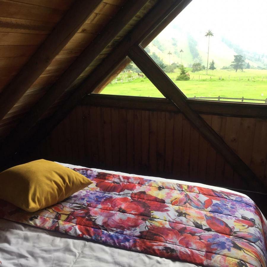 Palmas De Cocora Guest House Саленто Екстериор снимка
