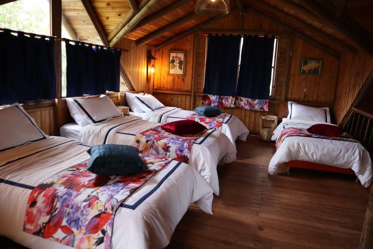 Palmas De Cocora Guest House Саленто Екстериор снимка