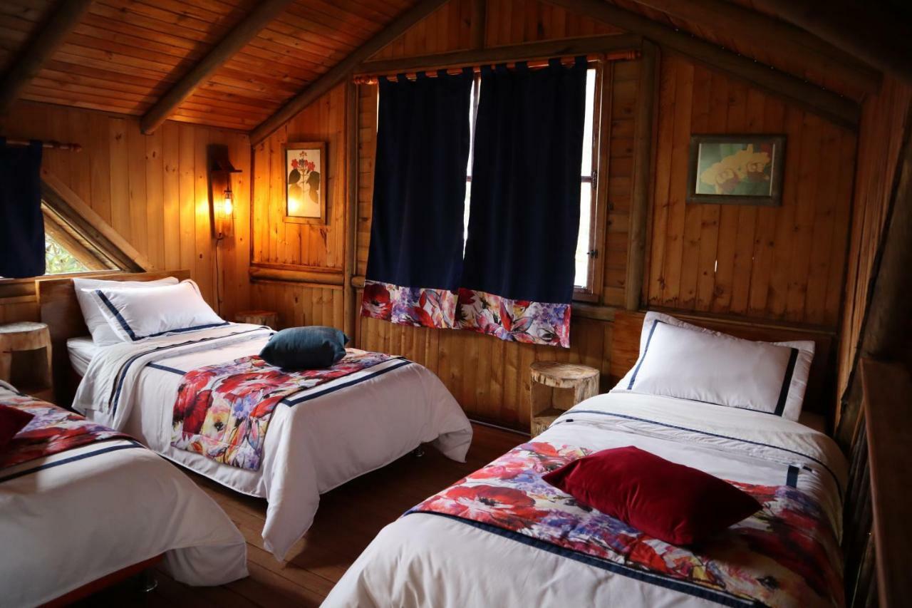 Palmas De Cocora Guest House Саленто Екстериор снимка