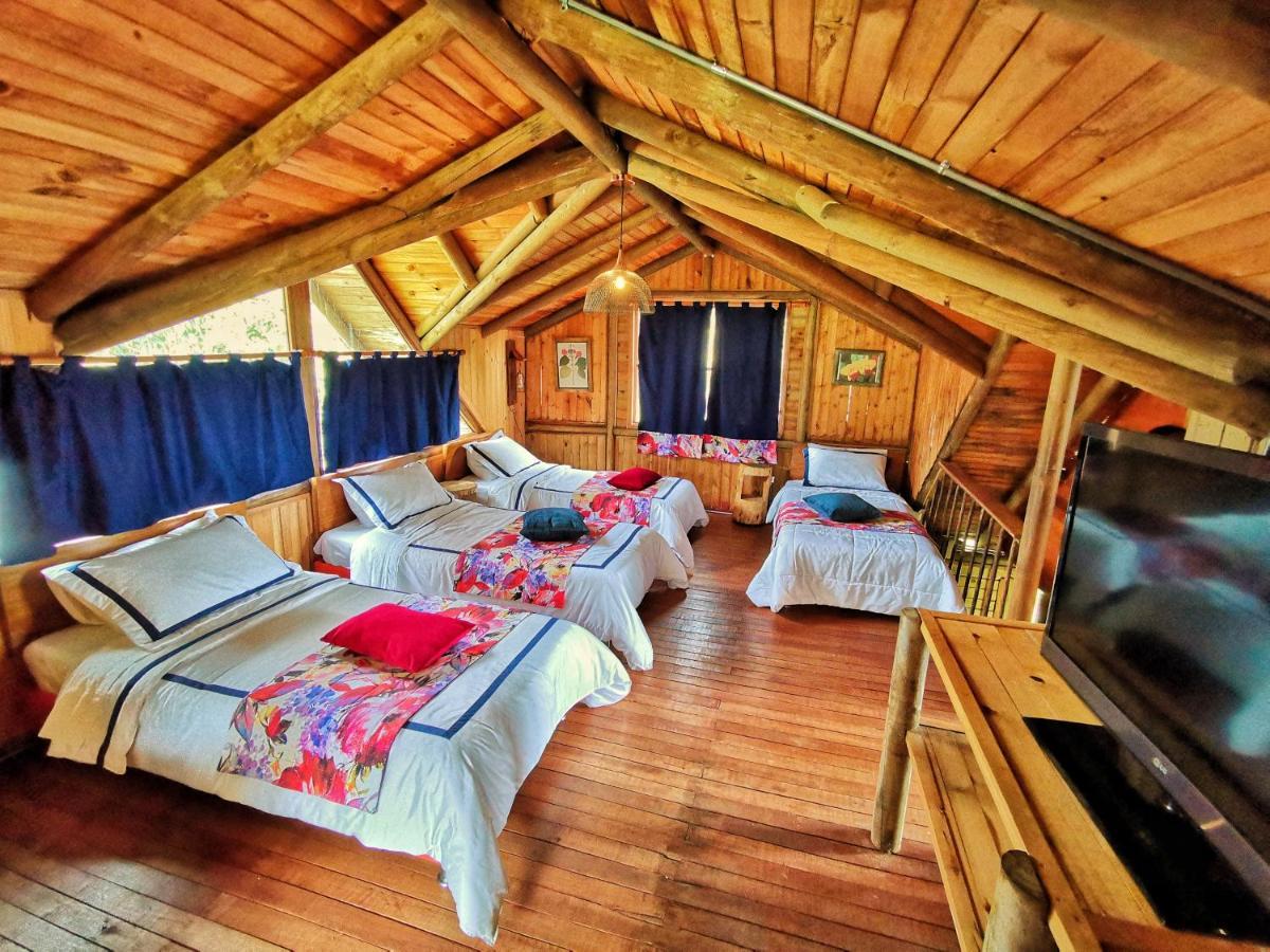 Palmas De Cocora Guest House Саленто Екстериор снимка